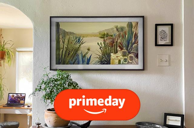 The Samsung Frame TV rests flush against a white wall in a home, with a houseplant in front.