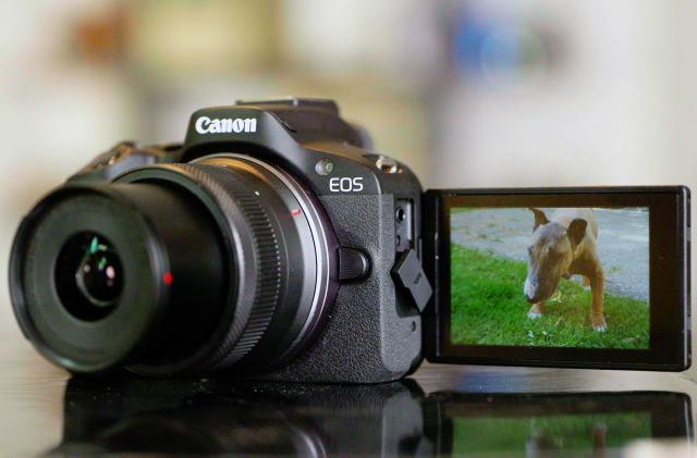 Canon EOS R50 review: Big performance for a tiny camera
